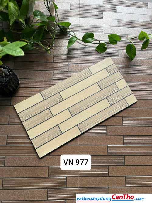 Việt Nhật VN 977